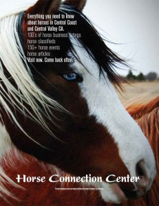 full page ad horse connection center
