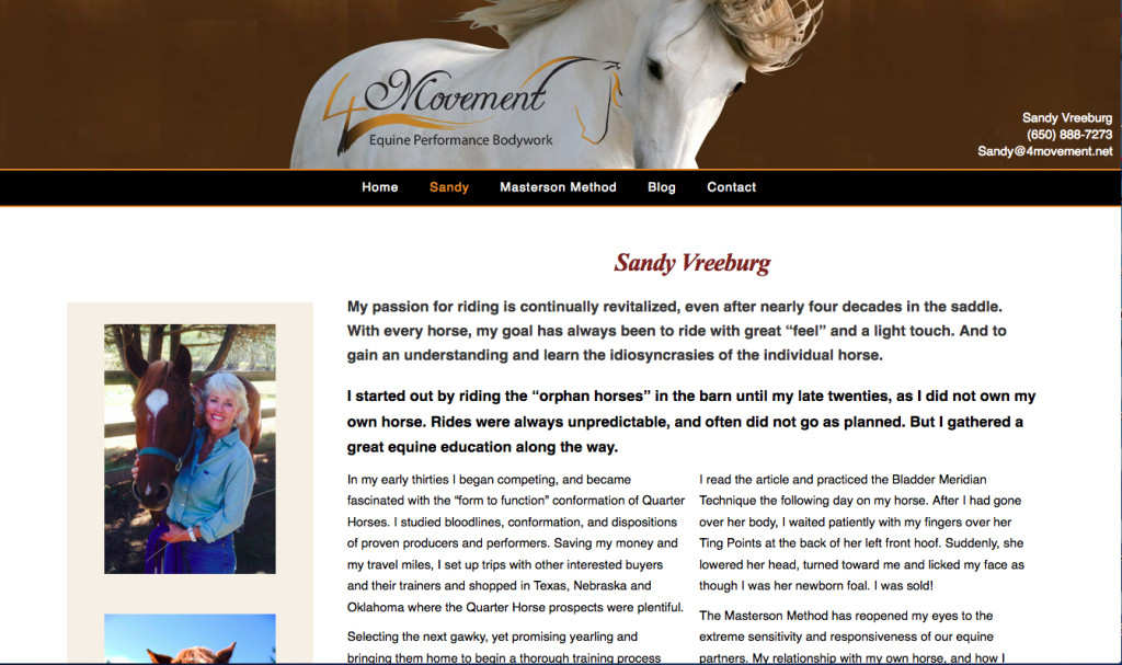 4 movement website by g2 partners: equine