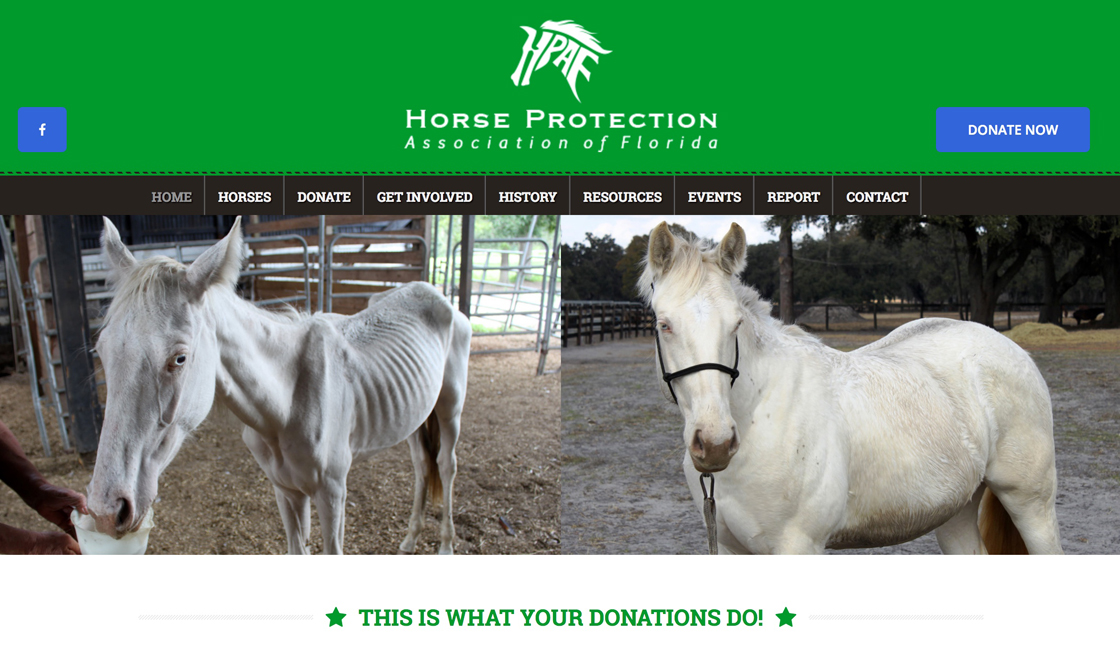 horse-protection-association-of-florida-image-1