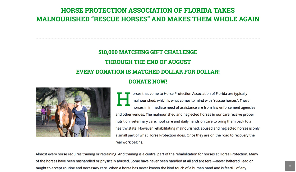 horse-protection-association-of-florida-image-3