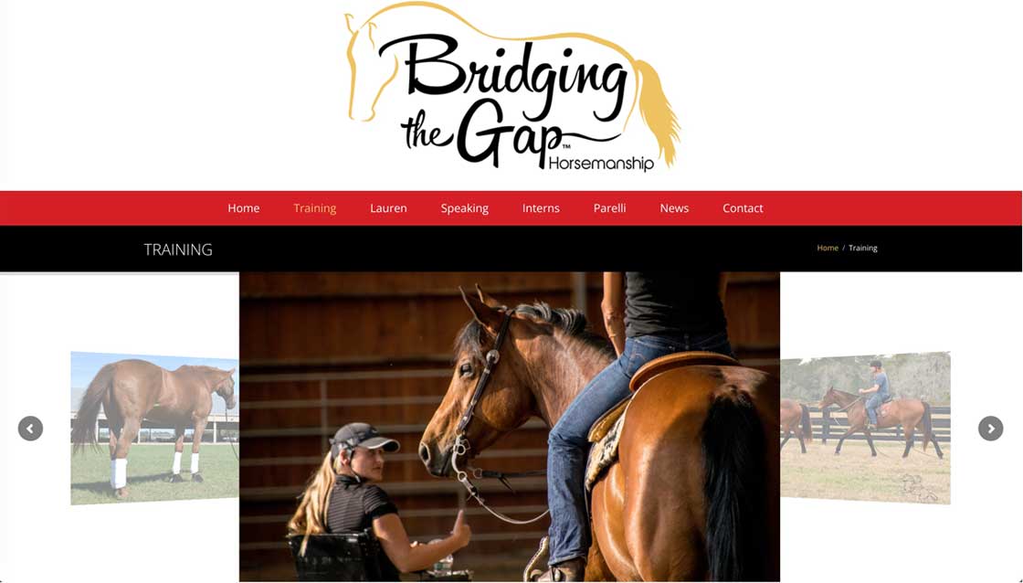 lauren-barwick-bridging-the-gap-horsemanship-image-2