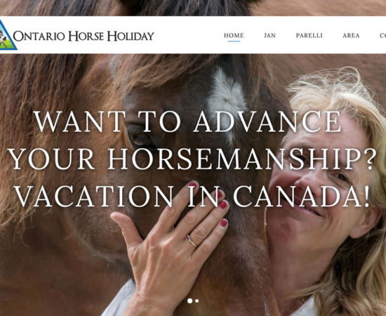 Ontario Horse Holiday Jan Brooks Parelli Professsional