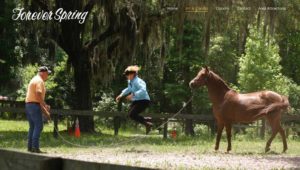 Forever Spring Owners
