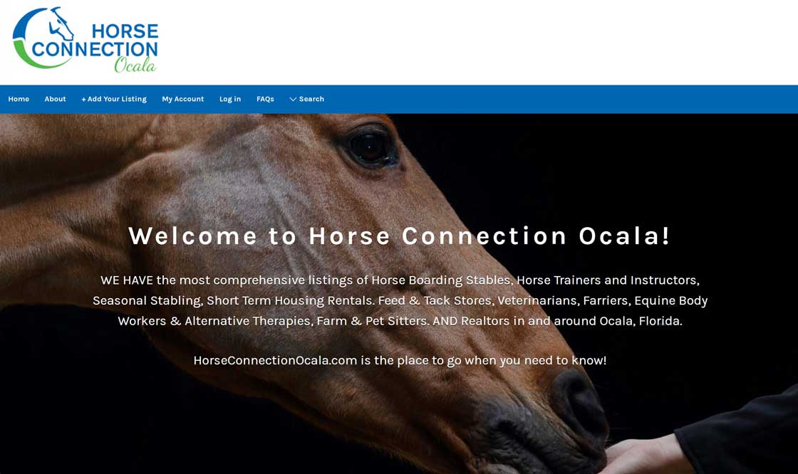 horse-connection-ocala-image-1