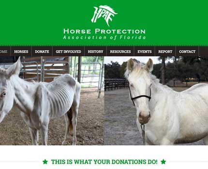 Horse Protection Association Florida G2 Partners Equine Marketing